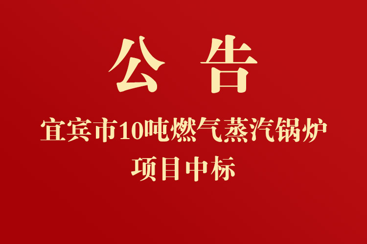 宜宾市润公坊酒业有限公司10吨燃气蒸汽锅炉项目中标公告