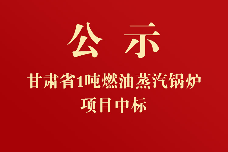 甘肃省人民政府外事办公室采暖锅炉项目中